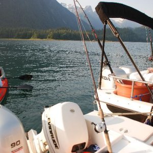 Sheep Bay