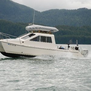 Odyssey shows up from Seward