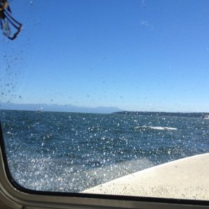 Breezy day heading for Dodds Narrows