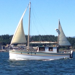 Media 'Great old woody at Dodds' in album 'Breezy day heading for Dodds Narrows'