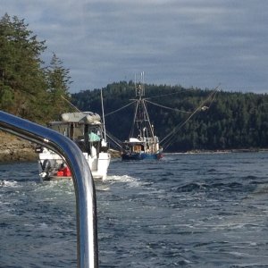 Media 'Crowd at Dodd Narrows' in album 'Breezy day heading for Dodds Narrows'