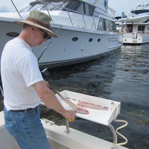 Fileting Ling Cod - Great fish and chips!