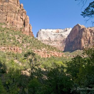 Zion DSC1209