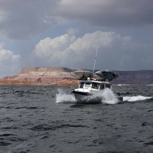 Media 'Sea Quest DSC4930' in album 'kiva DSC0871'
