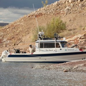 Media 'Sea Quest DSC4943' in album 'kiva DSC0871'