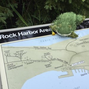 Media 'Lil' Brat picks out a trail at Rock Harbor' in album 'Lil'Brat's favorite flower'