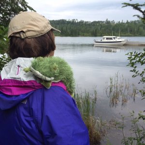 Lil' Brat likes the hike with Joyce, but likes the view at Hay Bay even more.