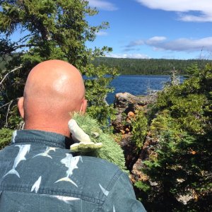 Media 'Lil\' Brat likes the hike with Joyce, but likes the view at Hay Bay even more.' in album 'Lil'Brat's favorite flower'