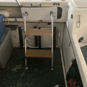 Ladder with moveable supports