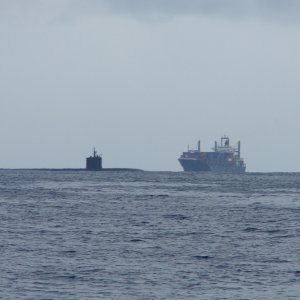 Media 'Navy sub and container ship
11/15/08' in album 'Docked at The Shack restaurant at Hawaii Kai 10/10/08'