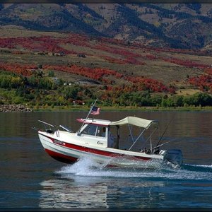 Media 'Lil' Worm Dragger on Bear Lake in Utah' in album 'BearLake006'