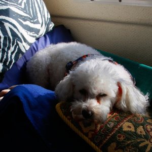 Media 'Napping on the hook' in album 'Napping on the hook'