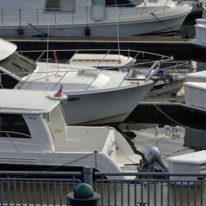 Media 'Can you see R-Matey? She's there! Look over the bow of the second boat....' in album 'Launching at Everett December 6, 7:15 am. We're going to Tacoma!'