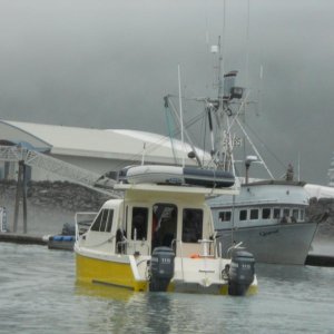 TomCat, 1st generation (Whittier AK, July 2010)