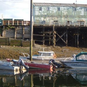 Barracuda, 22' Angler (Petersburg, AK May 2009)