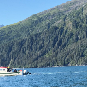 27' w/outboard (Prince William Sound, August 2020)