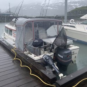 1986 26? custom (Fairbanks AK Craigslist Jan 2021)