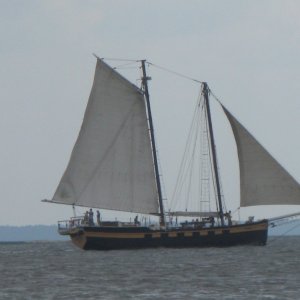 IMG 0337 This Tall Ship makes day and sunset cruises out of Fernandina Beach Marina