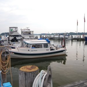 DSC 4220 B