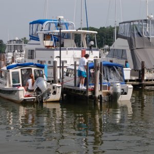 DSC 4237 B