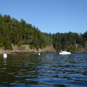 The other 2 buoys