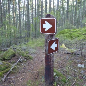 Which way?