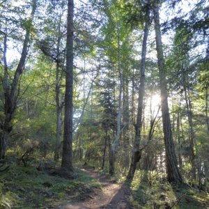 Sound trail