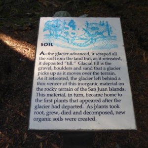 Soil
