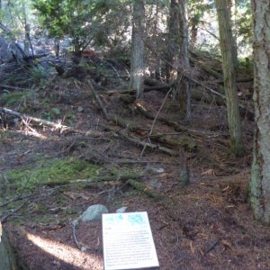 Soil