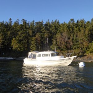 Media 'Returning to the boat just before sunset.' in album 'After a Friday night aboard hoping to get an early start Saturday, but instead woke up to morning fog. Looks like Catman is heading out too!'