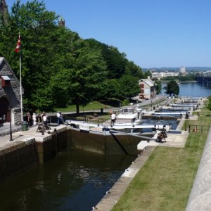 36.) Flight of 8 in Ottawa