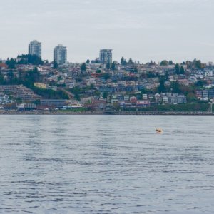 Media 'White Rock from Semiahmoo Bay' in album 'image'