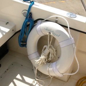 Media 'Sea Angel Aft Port side Shockcord Line Hanger -3/8" blue 25' braid stern line- after the Life Ring is mounted.' in album 'Sea Angel Dock Line System with HARKEN Cam-Cleats with color cam caps added. All dock lines are 25'long.'