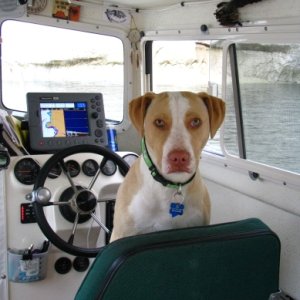 Finn wants to be Captain