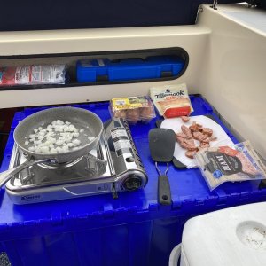 Big blue box someone was getting rid of at work. Great for storage of camping gear and also a great table.