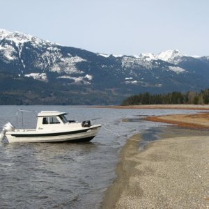 Media 'Bear Creek Flats, Harrison Lake' in album 'up Harrison Lake'