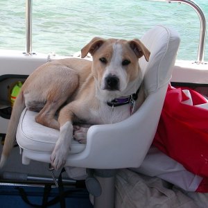 (Molly Brown) What do you mean this is not my chair?