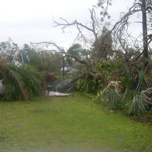 (Molly Brown)Post storm damage