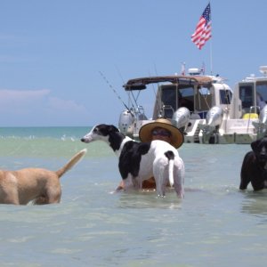 Great fun was had by all including an overnighter in a cool little cove on the Gulf side of Cayo Costa.