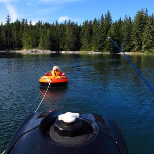 She loved being towed behind the pudgy near Crease island