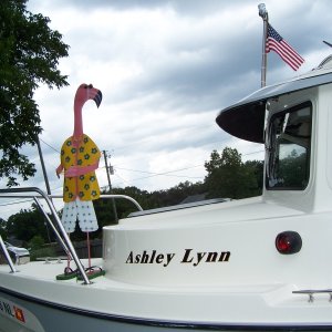 Just applied the boat name, Dave(the flamingo) helped.