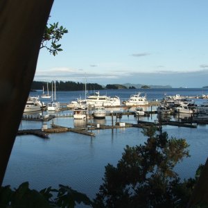 Ganges Harbour