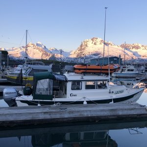 Media 'Valdez Harbor' in album 'Unakwik Inlet'