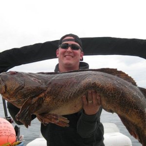 Ling Cod