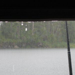 Rain in PWS.
175 inches of precipitation annually.