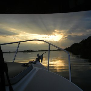 Media 'Ark River mile 235 - evening on the river' in album 'Stella the Boat Dog'