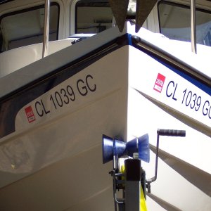 New Colorado registration decals