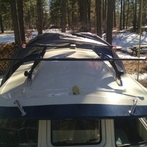 12" Stainless Steel Grab Rails and Thule Roof Rack