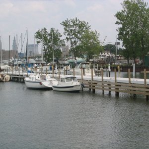 Media 'Edgewater YC' in album 'Amelia Anne'