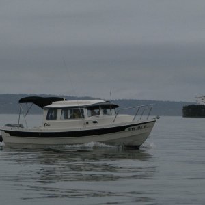 Media 'Beagle, owned by Ron and Rose staging for the river trip.' in album 'Launching for Dave's River trip, Feb 2011'
